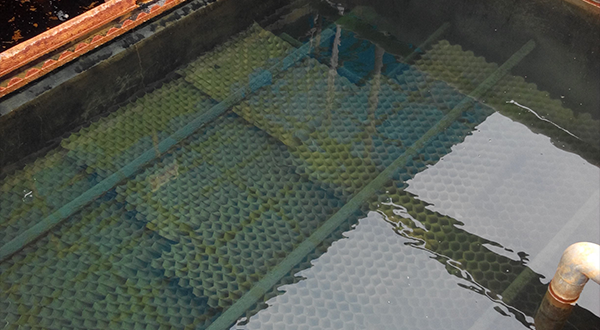 描述污泥特性的指標(biāo)有哪些?-青島樂中環(huán)?？萍加邢薰? />
</p>
<p style=