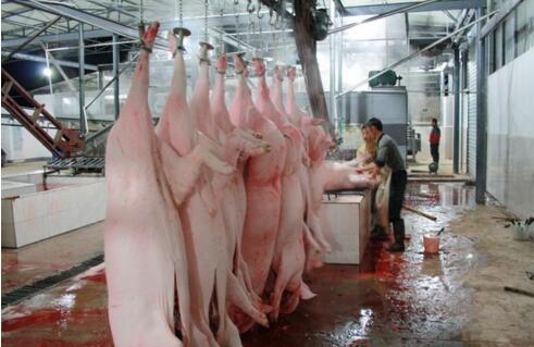 屠宰廢水處理方法有哪些？屠宰廢水處理設備價格？-01