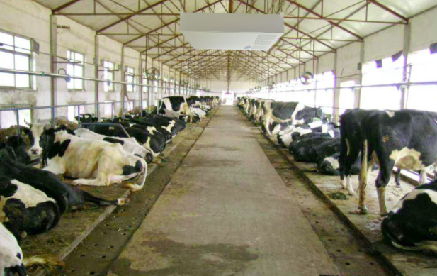 養(yǎng)殖屠宰污水處理設備使用前，要注意這兩點！01