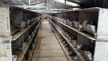 養(yǎng)兔廠(chǎng)廢水處理設(shè)備-青島樂(lè)中環(huán)保